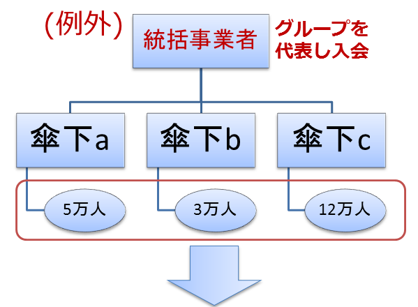 MSO・ローミング提供事業者の扱い2